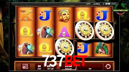 Descubra o Mundo do Cassino Online com 737bet